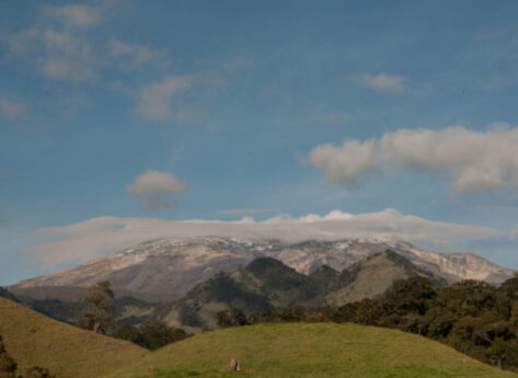 Los placeres de Murillo