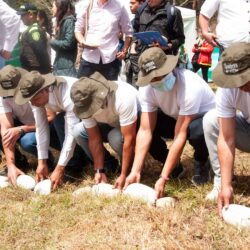 Reforestar bosques para pagar por crímenes de guerra, arrancó el Sistema Restaurativo de la JEP