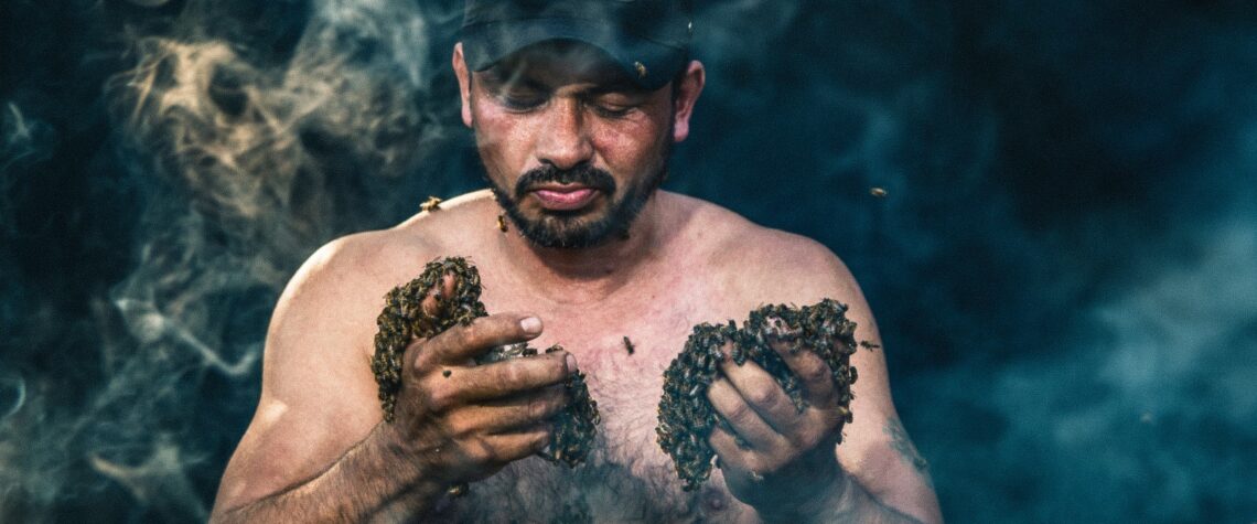 Miel, oro líquido de dioses