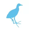 Garza azul-02